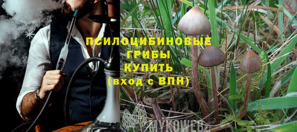 прущий лед Алексин