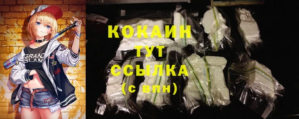 прущий лед Алексин