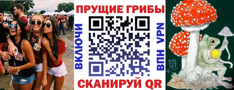 закладки  Любим  Псилоцибиновые грибы Psilocybine cubensis 